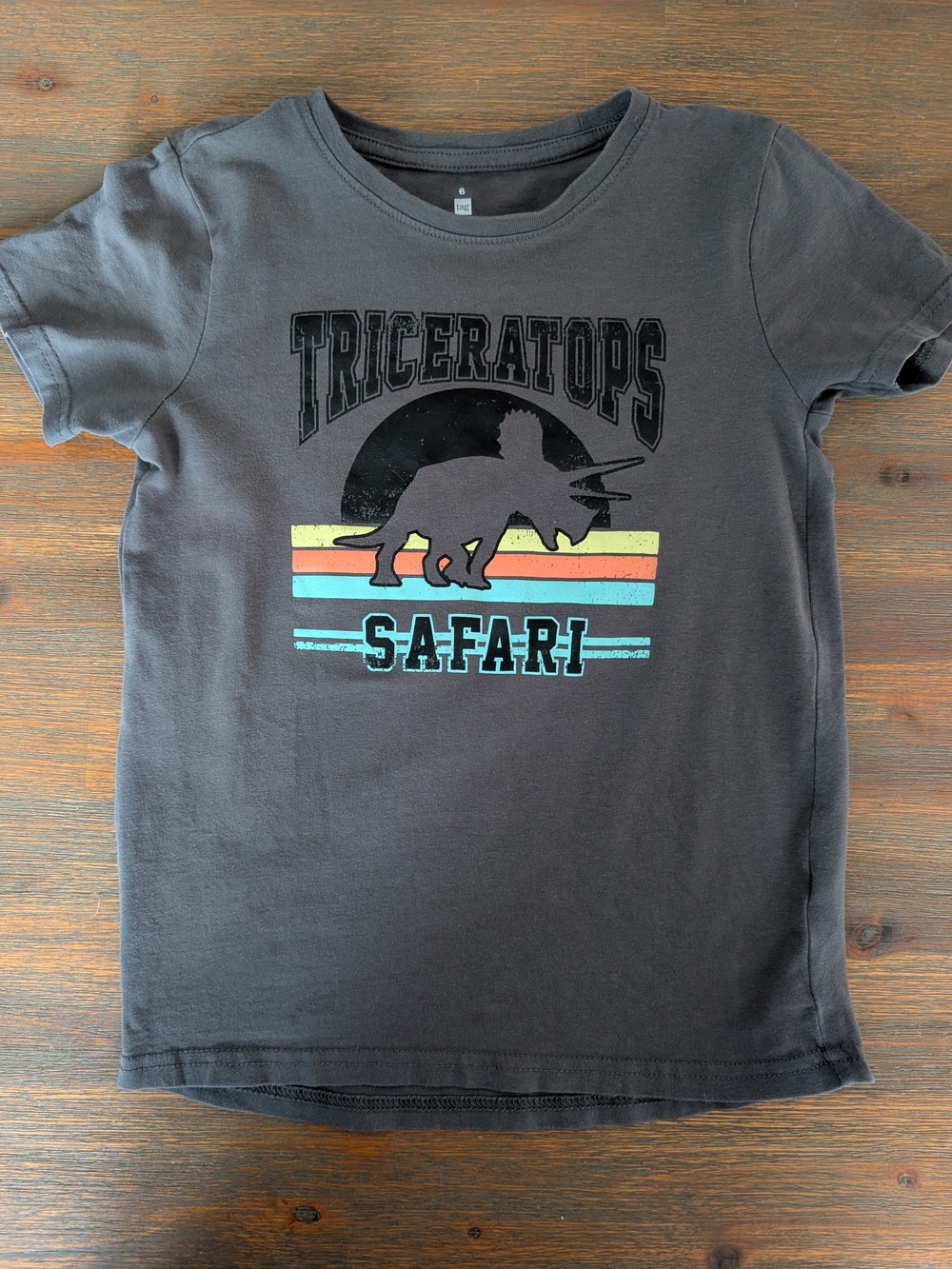 Tag Triceratops Safari Graphic Tee - Charcoal with Yellow, Orange, Blue Stripes